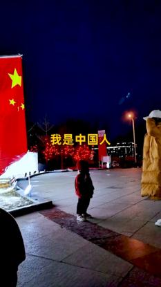 聚集智慧,解答疑惑——请问要是开车撞了动物是否违法,会不会被抓或者坐牢?问答平台